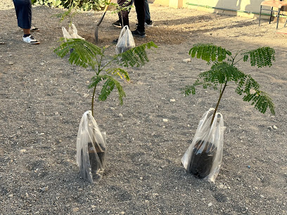 فريق سيح العافية الرياضي. فريق سيح العافية الرياضي -  - +968 9945 8600