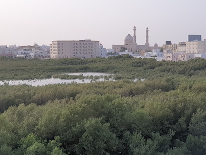 الطينه - صور ، -