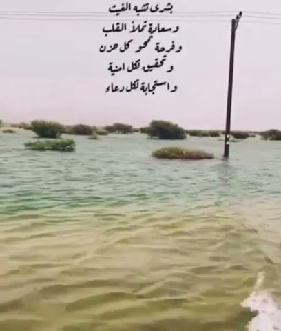 بحيرة سيح الغزلان - طوي عائشة -