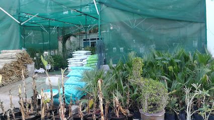 شركة النزاهة الوطنية المشتل الإلكتروني - سمائل - +968 9498 3444