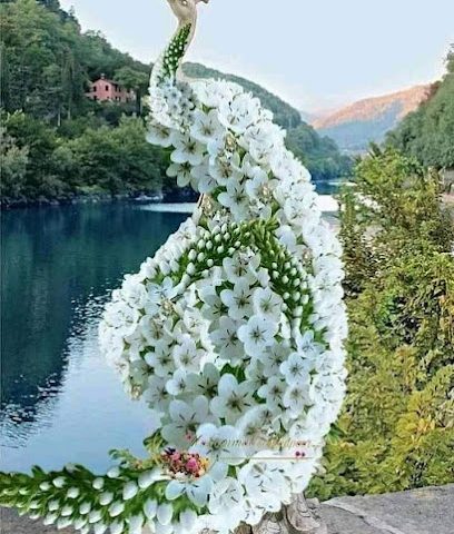 تدليك فاخر - صحار -