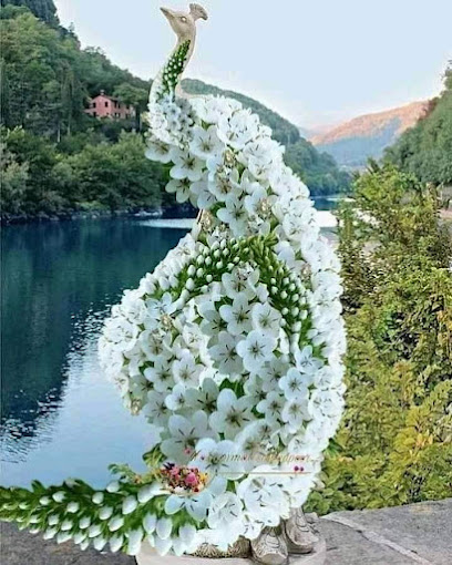 تدليك فاخر - Oman|311|Massage Luxury Sohar OM