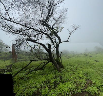 منطقة مواقف السيارات - صلالة -