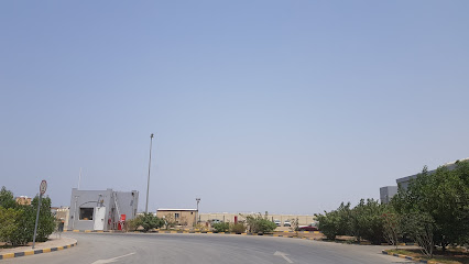 ارامكس مستودع ارامكس - الشخاخيط - +968 22 089800