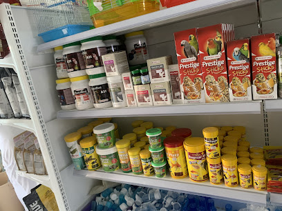 ركن الطيور والحيوانات الأليفة - مسقط - +968 9190 1130