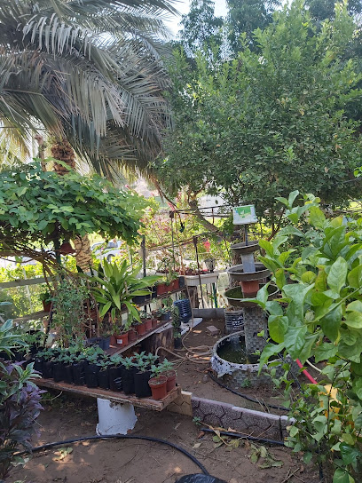 مشتل نباتات ما شاء الله - عسل و بط عضوي / بيض دجاج - Oman|100|Wadi Kabir