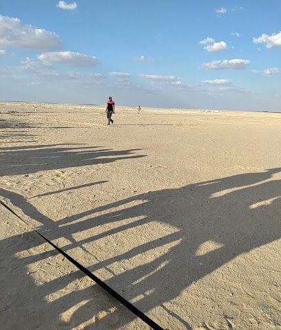 اصول للدواجن ش.م.ع.م -  -