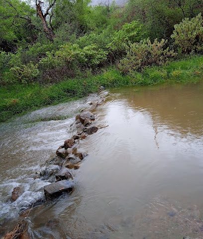 منتزة طبيعي جنب الفلج - الروضة -