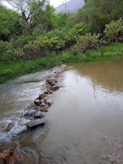 منتزة طبيعي جنب الفلج - Oman|Ar Rawdah|Unnamed Road|3C5Q+FM4