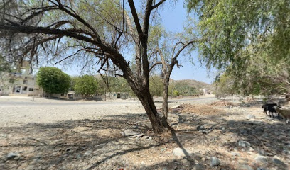 منتزة فزح - الفليج -