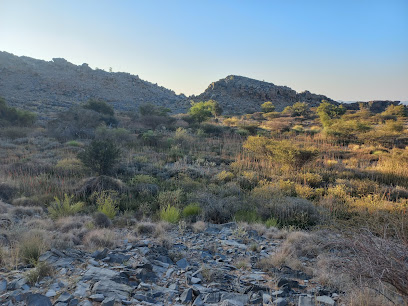 رخة الصقل - نزوى -