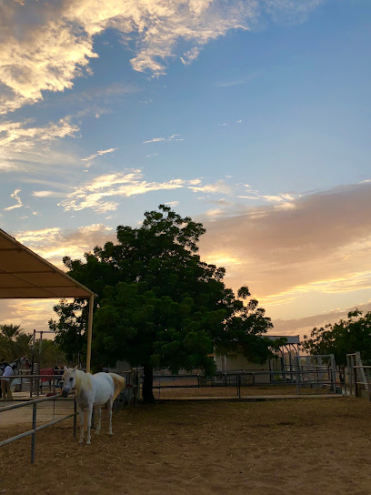 مزرعة جامعة السلطان قابوس - Oman|Seeb|Unnamed Road