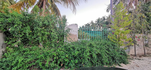 مشتل لبيع الاشجار - صلالة -