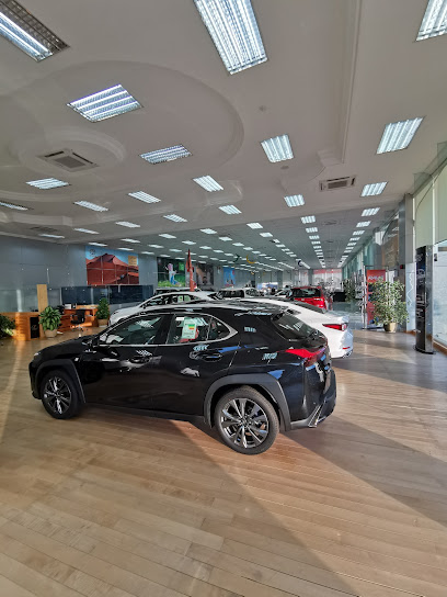 خدمات وصيانة تويوتا لكزس - Oman|Sohar|8PGW+H9P