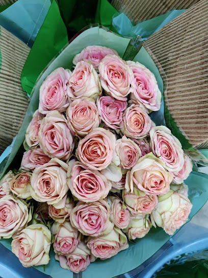 زهور الفردوس للأعمال ذ - Oman|Seeb|6 Al Khoudh St