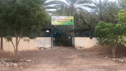الحضانة - مشتل نخل - نخل - +968 9804 5644