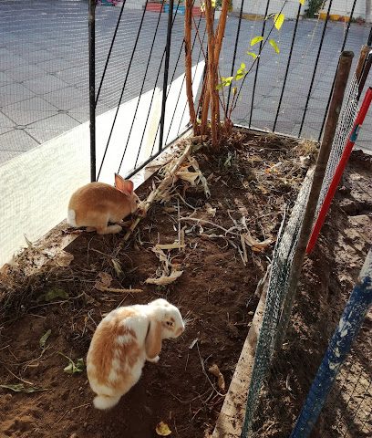 منطقة اللعب - مسقط -