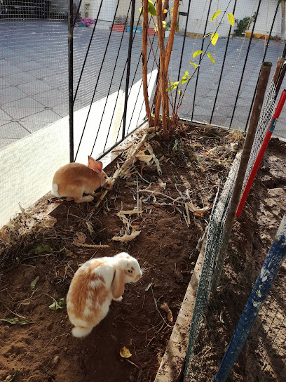 منطقة اللعب - Oman|Muscat|JF9X+HQ8