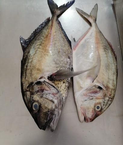 الشموسي للأسماك للأسماك و المأكولات البحرية - صحم - +968 9131 2486