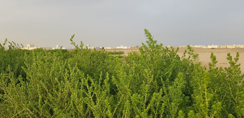 إقامة مشروع خط مياه صحار - صحار -