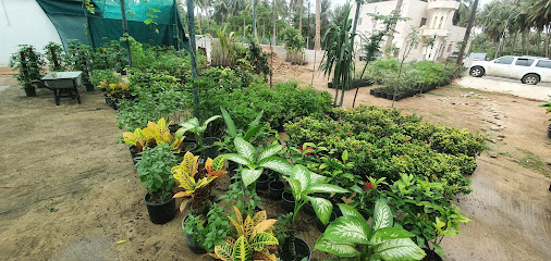 مشتل البيت الفاخر - صلالة - +968 9720 9581