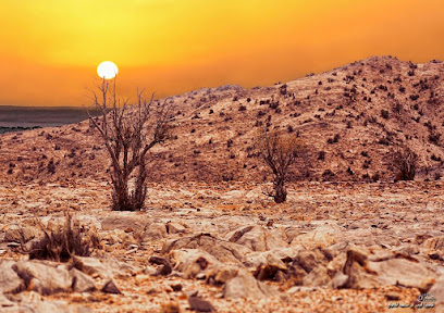 لبيب المعولي للتصوير الفوتوغرافي - السيب - +968 9222 1110