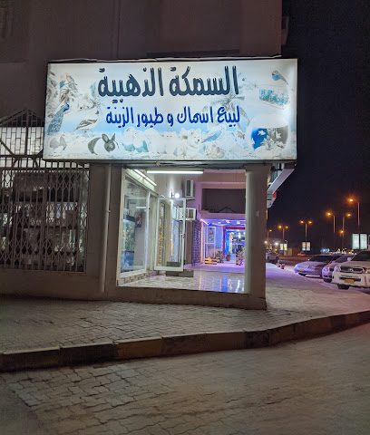 متجر الحيوانات الأليفة Bangali (Article Space Trad LLC) - البريمي -