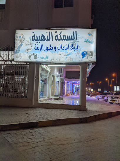 متجر الحيوانات الأليفة Bangali (Article Space Trad LLC) - Oman|Al Buraimi|al buraimi toyota