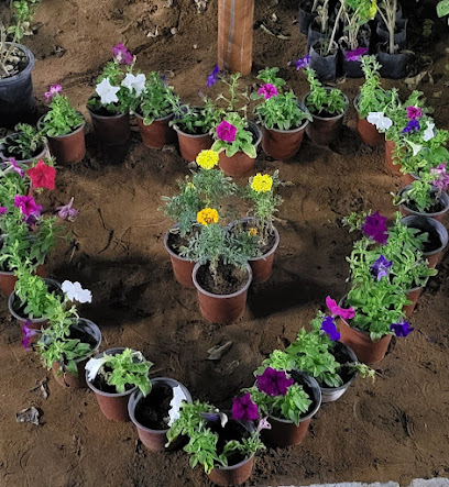 مشتل الحديقة الخضراء - إزكي - +968 9931 1599