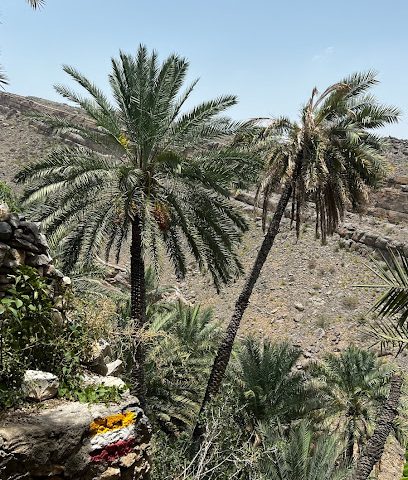 بركة طبيعية - مسفاة العبريين -