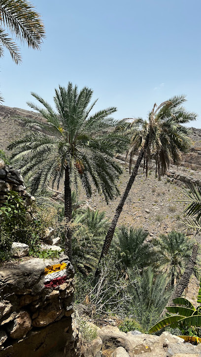 بركة طبيعية - Oman|Misfah al Abriyyin|48R7+728