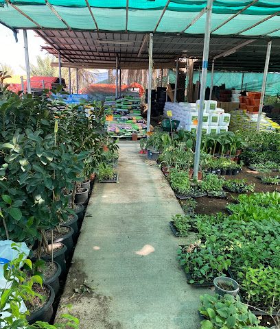 مشتل أبو علي بولاية إزكي - قروت الجنوبية - +968 9981 1008