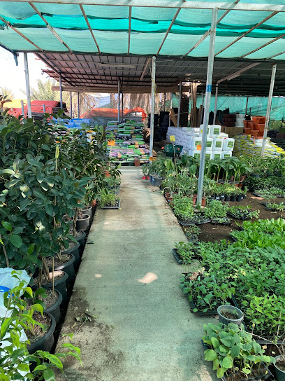 مشتل أبو علي بولاية إزكي - Oman|Qarut South|XQGM+WF4