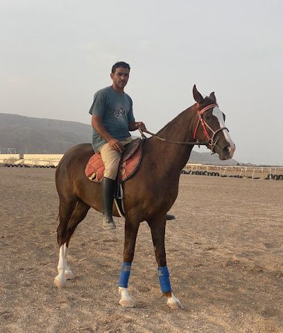 اسطبل المروض اسحاق المحروقي - آدم -