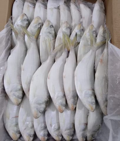 شركة خمسة أوشنز المحدودة لتجهيز الأسماك - بدبد - +968 9389 3698