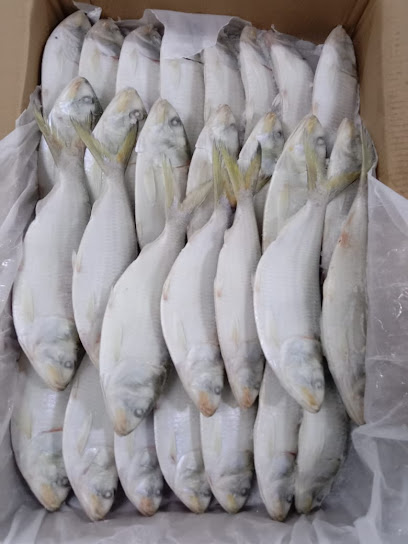 شركة خمسة أوشنز المحدودة لتجهيز الأسماك - Oman|600|bidbid OM