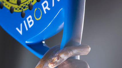 نادي فيبورا باديل عمان - مسقط - +968 9665 5431