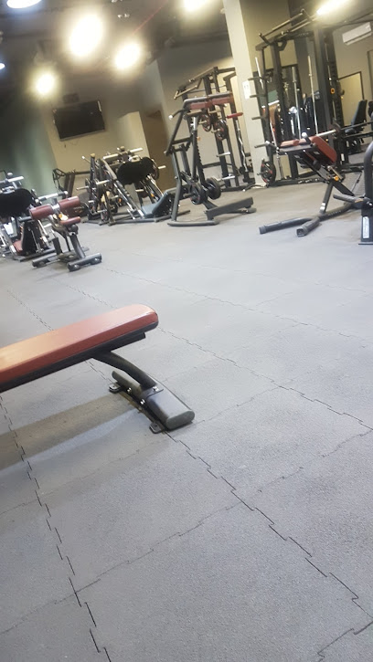 Xgm شناص - Oman|AlAqur Roundabout2|RC2R+9M5