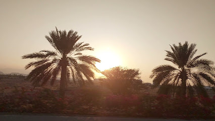 شارع جامعة السلطان قابوس - السيب - +968 24 141111