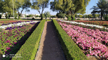 محمية القرم الطبيعية - مسقط -