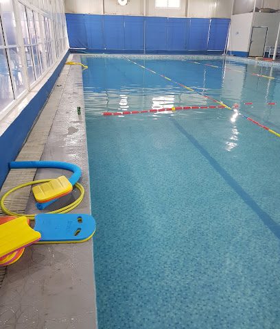 مركز دولفين للسباحة - مدرسة العلمين - السيب - +968 7913 5777