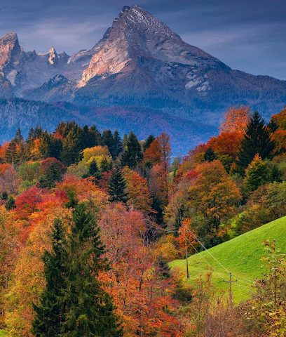 ملعب الواسط - ليزيج -