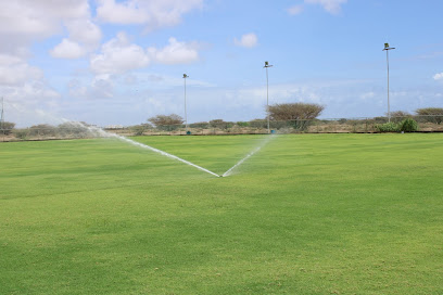 ملعب فريق الخيمة الرياضي - صحار -