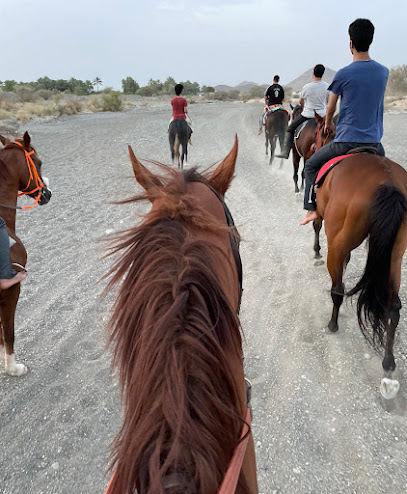 مربط المسكري للخيول - Oman|Ibra|Unnamed Road