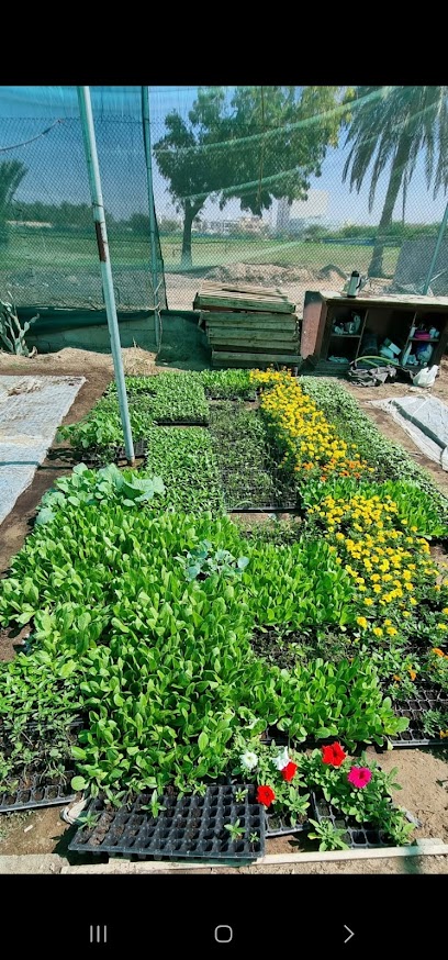 مشتل عيون آسيا - Oman|Barka