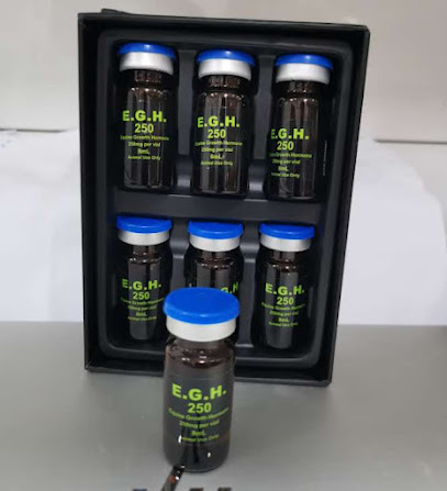 دكتور الحسن -  - +968 9679 6630