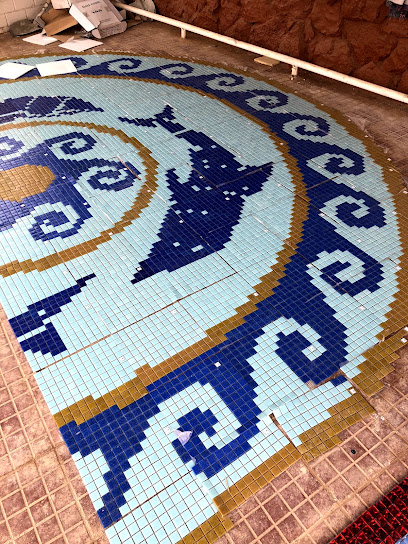 شركة ماربيا لتصميم وتنفيذ أحواض السباحه -