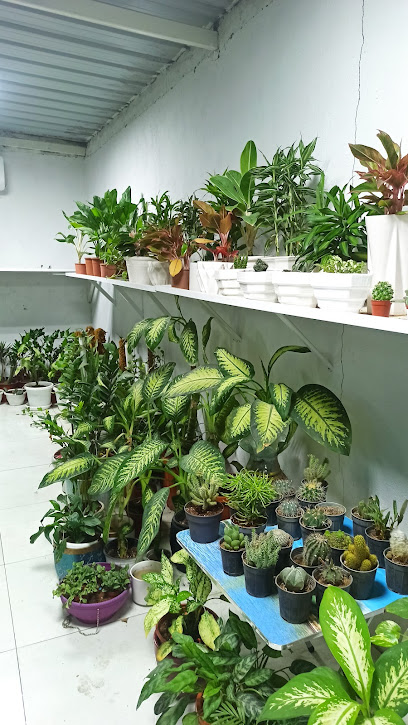 مشتل - Oman|Liwa|Liwa Roundabout،