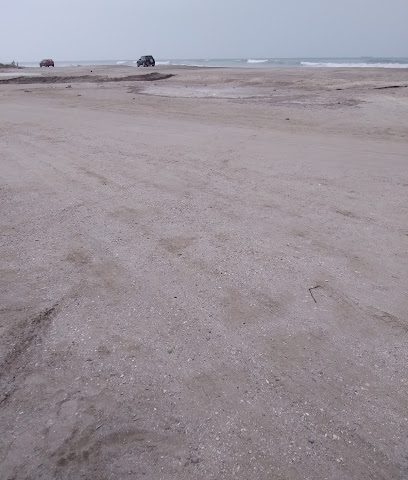 الكامب نو المطور - ليوا -