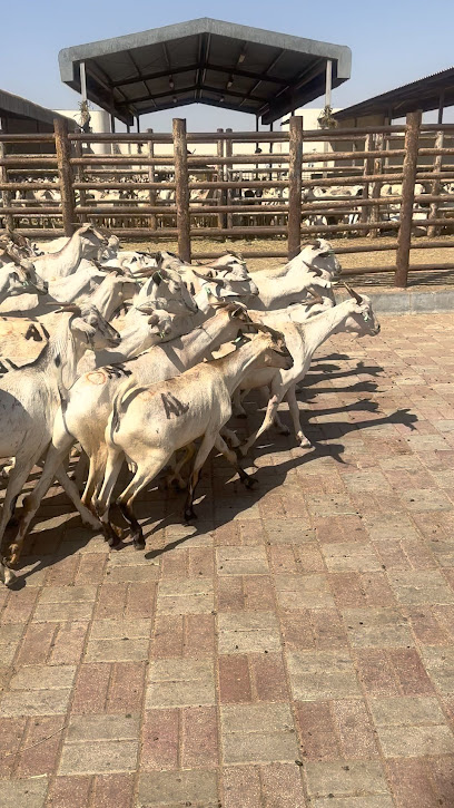 مصور سوهاج - Oman|Mirbat